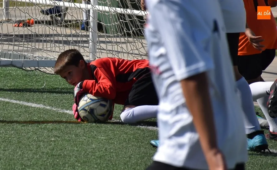 Foto 6 - Alevines y benjamines del Ciudad Rodrigo CF protagonizan el final definitivo de la temporada futbolera