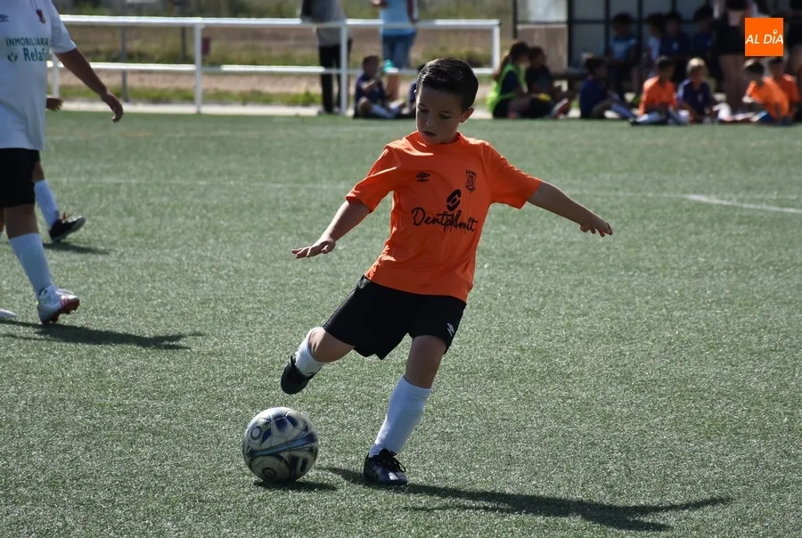 Foto 7 - Alevines y benjamines del Ciudad Rodrigo CF protagonizan el final definitivo de la temporada futbolera