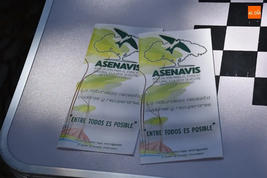 Foto 10 - Pilar Borrego se une con sus cuentacuentos a la conmemoraci&oacute;n del D&iacute;a Mundial del Medio Ambiente