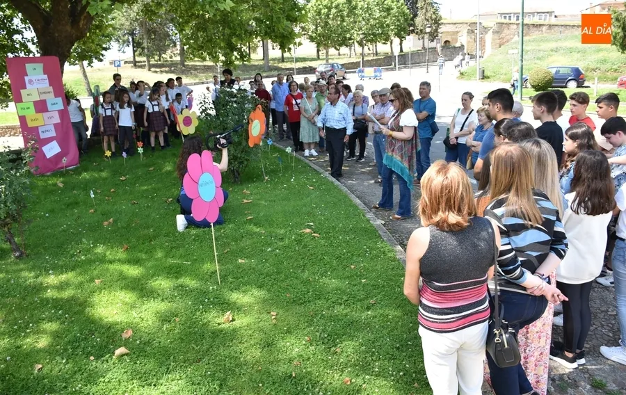 Foto 6 - C&aacute;ritas &lsquo;se planta&rsquo; junto a varias entidades contra el maltrato a las personas mayores