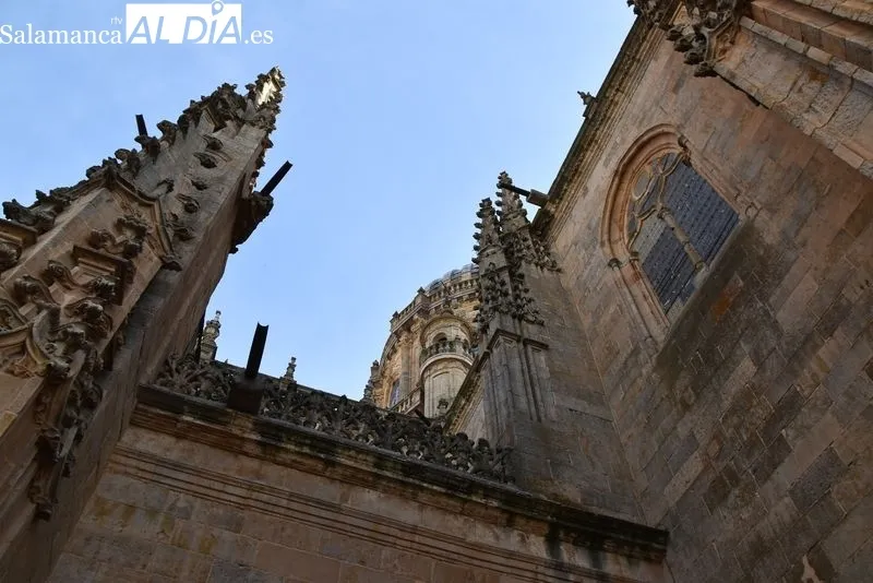 Las mejores visitas de Salamanca: escala a las torres de la Catedral | FOTOS: Vanesa Martins 