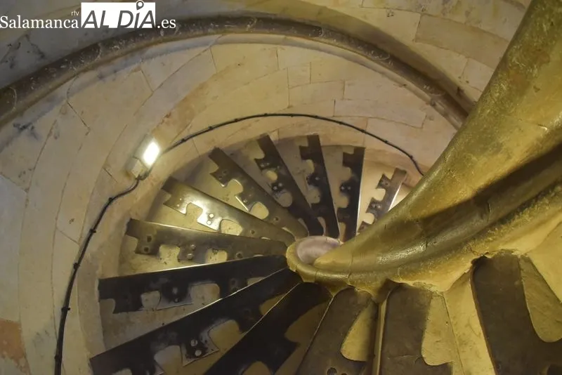 Las mejores visitas de Salamanca: escala a las torres de la Catedral | FOTOS: Vanesa Martins 