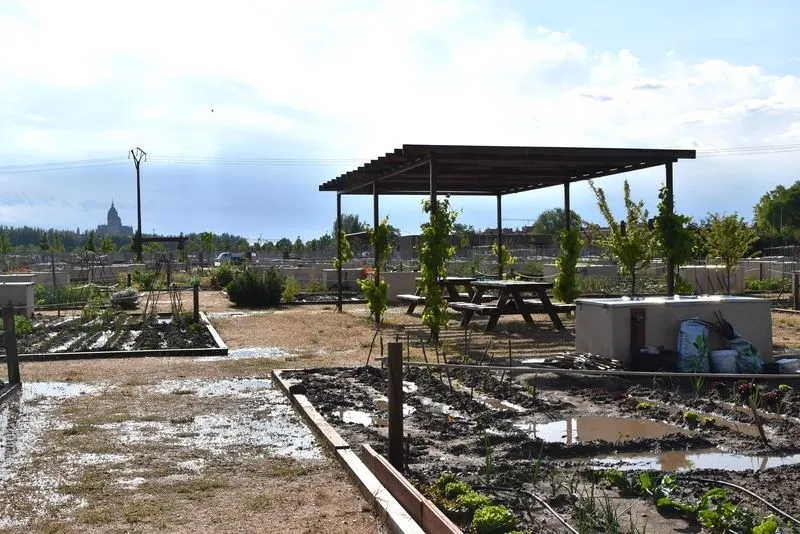 Los Huertos Urbanos, pulmón verde de Salamanca | FOTOS: Vanesa Martins 