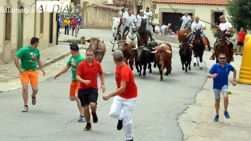 Los encierros a caballo y las capeas son protagonistas destacados de las fiestas de San Juan de Hinojosa