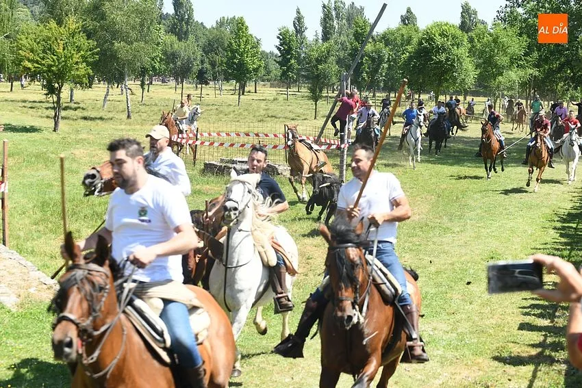 Encierro a caballo Navasfrias/ Fotos: Adrián M.Pastor