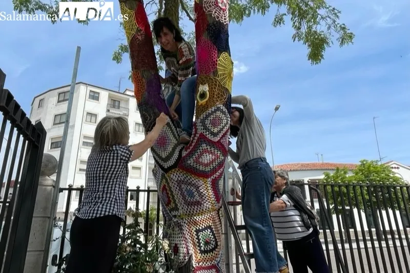 El grupo 'Ganchilleras en Acción' del Programa VIVE ha vestido este martes los árboles del parque La Huerta