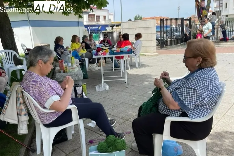 El grupo 'Ganchilleras en Acción' del Programa VIVE ha vestido este martes los árboles del parque La Huerta