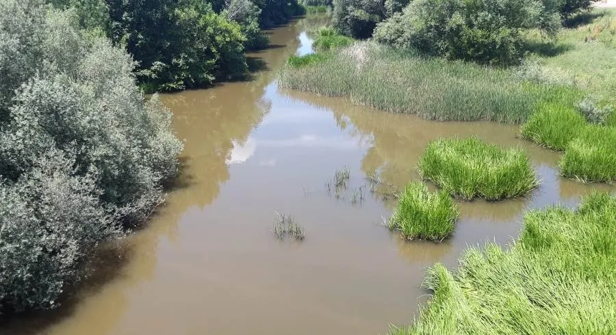 Foto 6 - APCRA denuncia la bajada del caudal del &Aacute;gueda en El Bod&oacute;n y el lodo con el que sale del pantano