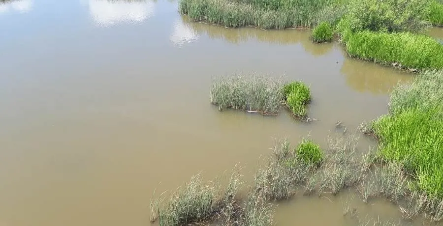 Foto 4 - APCRA denuncia la bajada del caudal del &Aacute;gueda en El Bod&oacute;n y el lodo con el que sale del pantano