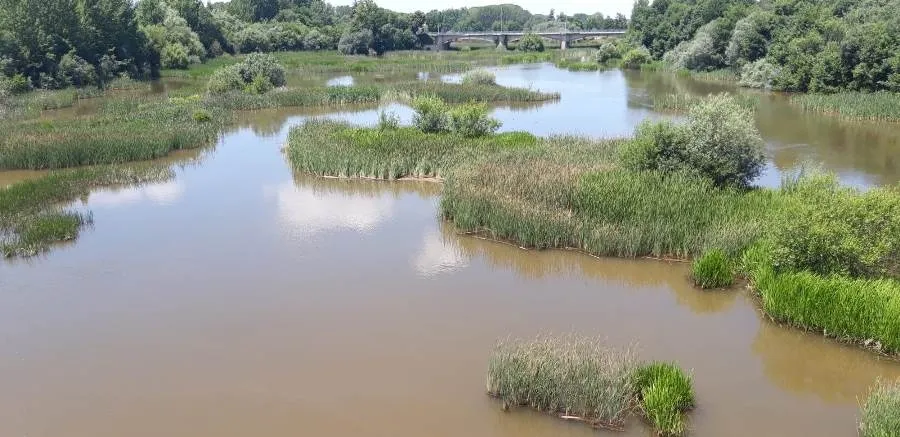 Foto 3 - APCRA denuncia la bajada del caudal del &Aacute;gueda en El Bod&oacute;n y el lodo con el que sale del pantano