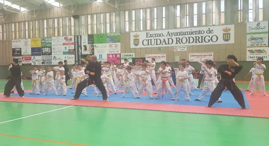 Foto 2 - El I Trofeo Mirobrigense de Defensa Personal re&uacute;ne a m&aacute;s de 50 deportistas locales