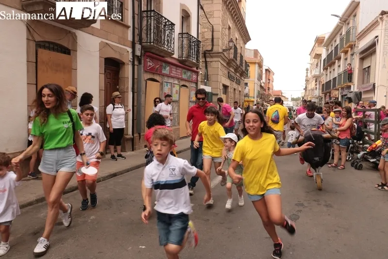 Vitigudino vivirá del 6 al 11 de junio 'los Corpus del toro' / CORRAL