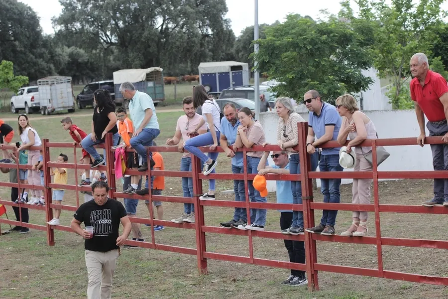 Foto 3 - Un r&aacute;pido y limpio encierro a caballo da paso a una entretenida capea en Campillo de Azaba