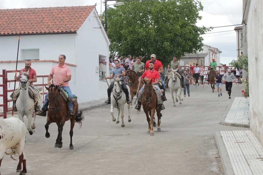 Foto 11 - Un r&aacute;pido y limpio encierro a caballo da paso a una entretenida capea en Campillo de Azaba