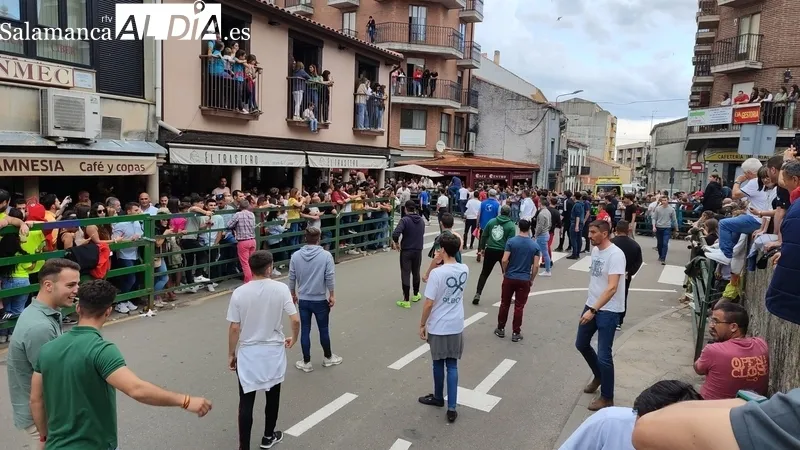 VII Toro de Cajón del preCorpus de Vitigudino