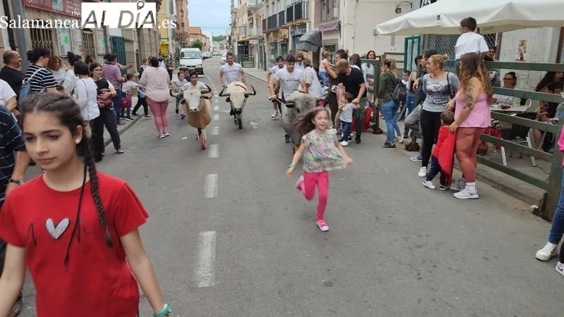 Los carretones marcan el comienzo de las fiestas del Corpus en Vitigudino / CORRAL 