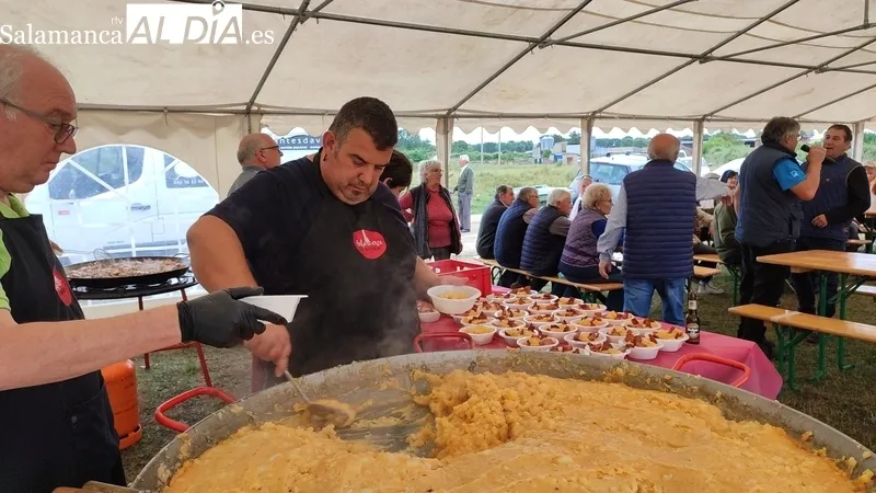 Feria ganadera del del 7 de junio de Bañobárez / CORRAL 