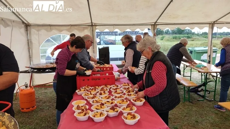 Feria ganadera del del 7 de junio de Bañobárez / CORRAL 