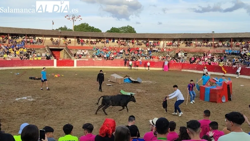 Capea del sábado de Corpus en Vitigudino