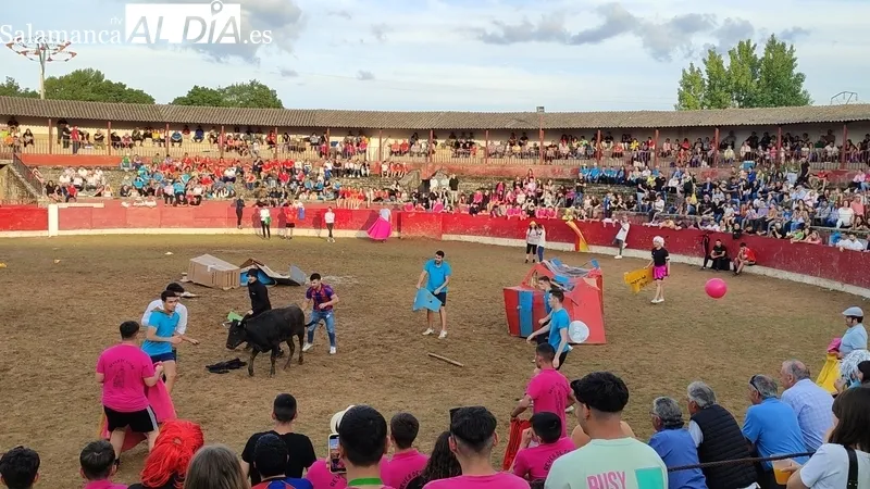 Capea del sábado de Corpus en Vitigudino