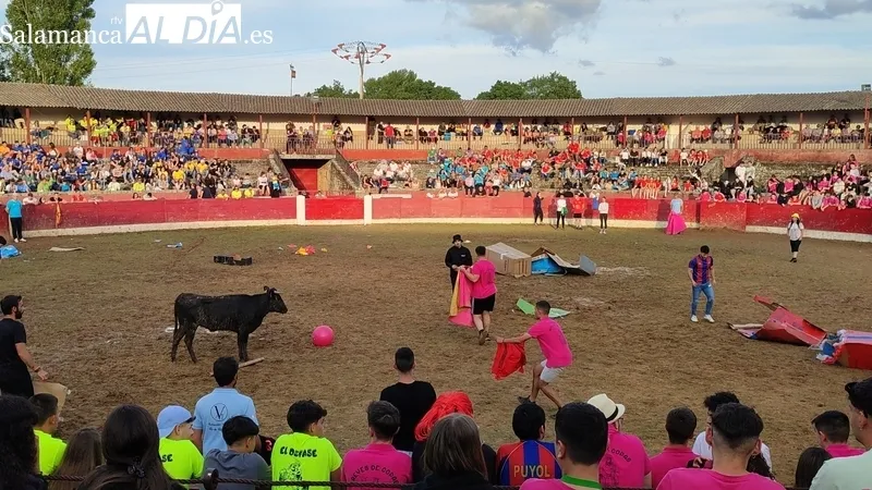 Capea del sábado de Corpus en Vitigudino