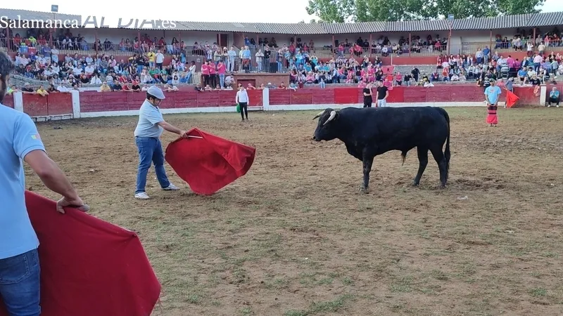 Capea del sábado de Corpus en Vitigudino