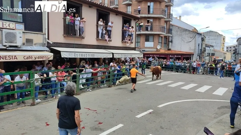 Encierro a caballo y encierro tradicional del domingo de Corpus en Vitigudino / CORRAL