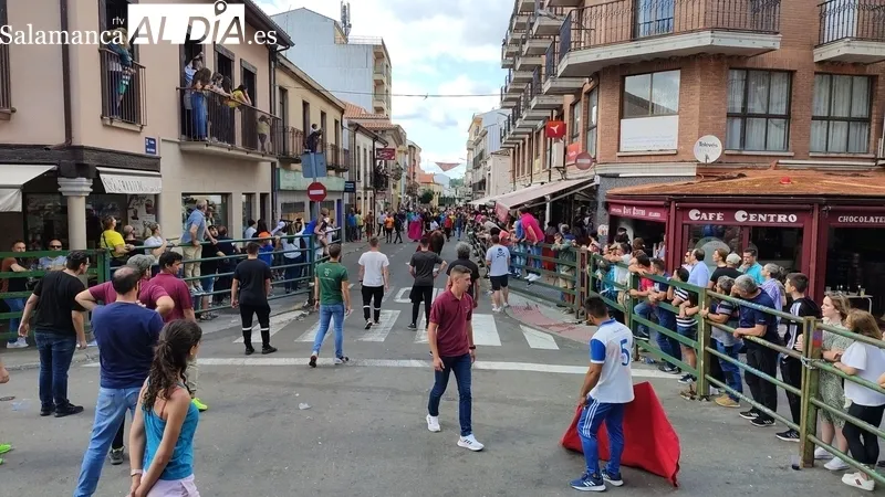 El IV Toro Fin de Corpus cumplió los objetivos y mantuvo el ambiente festivo en Vitigudino hasta entrada la noche / CORRAL  