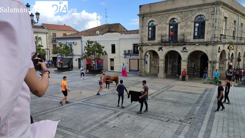 El IV Toro Fin de Corpus cumplió los objetivos y mantuvo el ambiente festivo en Vitigudino hasta entrada la noche / CORRAL  