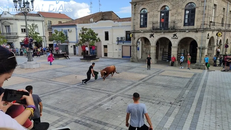 El IV Toro Fin de Corpus cumplió los objetivos y mantuvo el ambiente festivo en Vitigudino hasta entrada la noche / CORRAL  