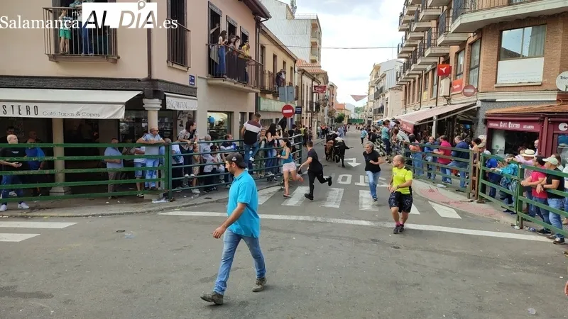 El IV Toro Fin de Corpus cumplió los objetivos y mantuvo el ambiente festivo en Vitigudino hasta entrada la noche / CORRAL  