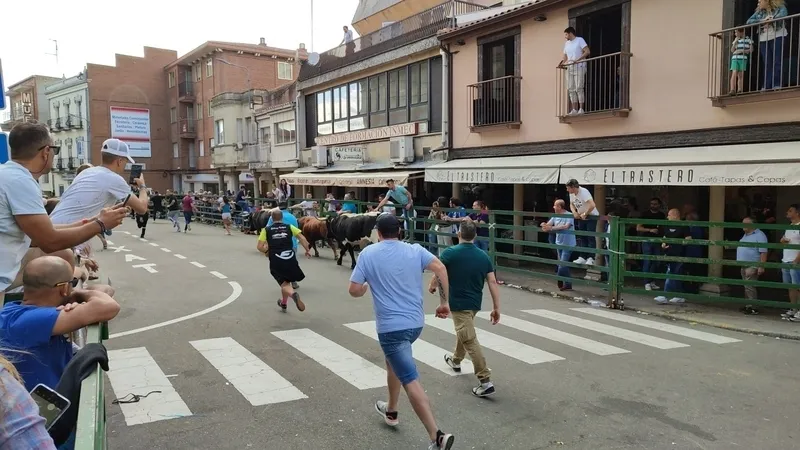El IV Toro Fin de Corpus cumplió los objetivos y mantuvo el ambiente festivo en Vitigudino hasta entrada la noche / CORRAL  