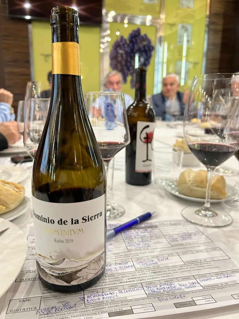 La Asociación enológica Cata Añada califica Dominum crianza 2019, de la DO Sierra de Salamanca / FOTOS Y VÍDEO: JAVIER BRAGADO