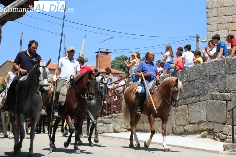 Rápido encierro a caballo en Bogajo / CORRAL