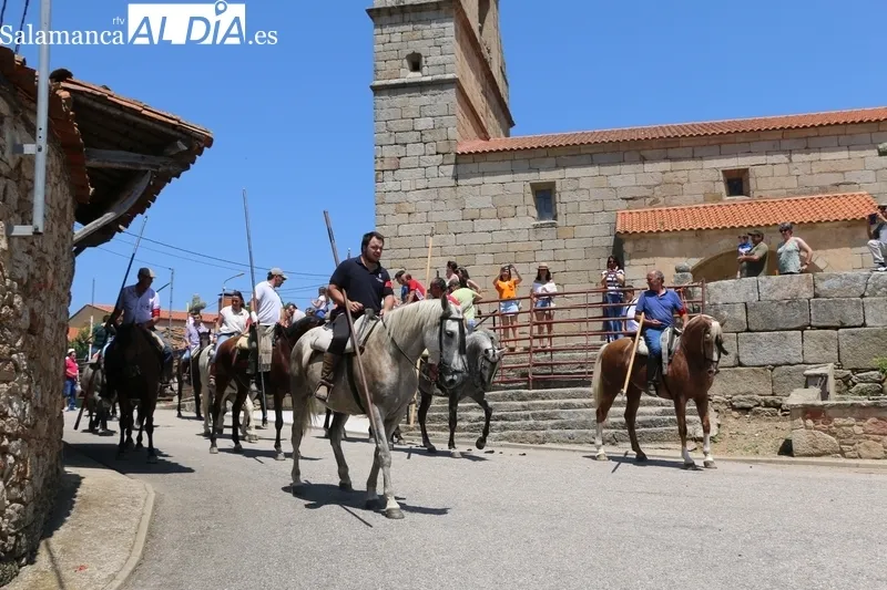 Rápido encierro a caballo en Bogajo / CORRAL