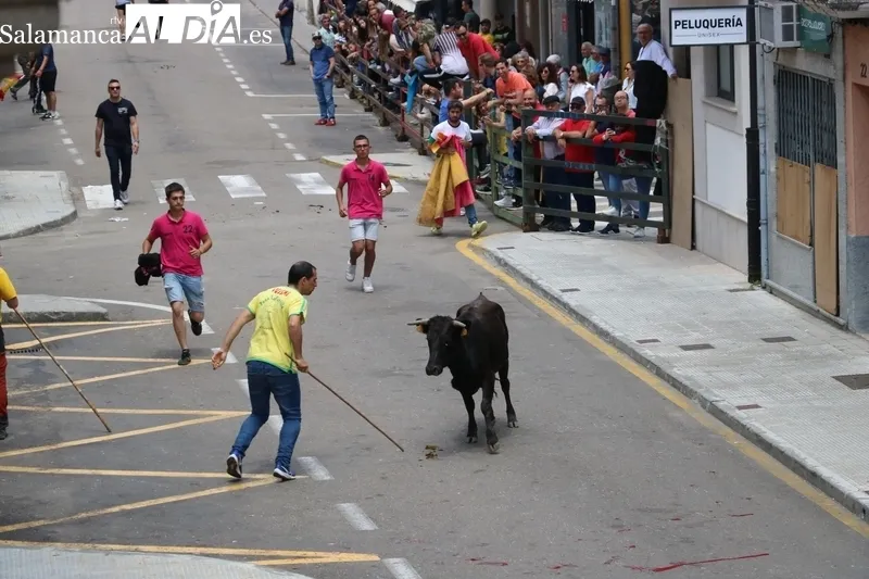 Encierro a caballo y encierro tradicional del domingo de Corpus en Vitigudino / CORRAL