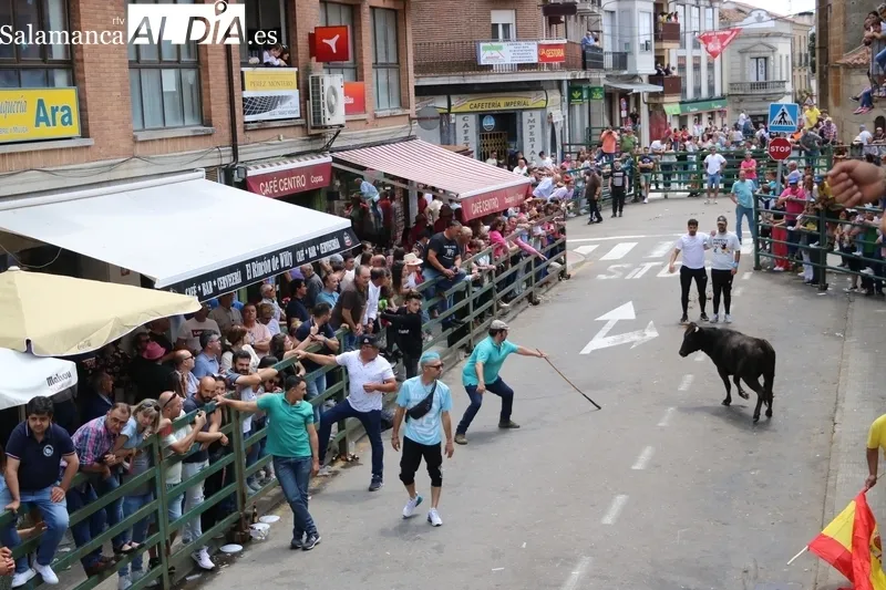 Encierro a caballo y encierro tradicional del domingo de Corpus en Vitigudino / CORRAL