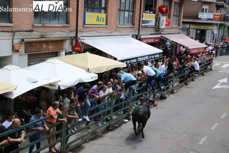 Encierro a caballo y encierro tradicional del domingo de Corpus en Vitigudino / CORRAL