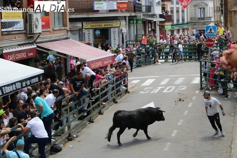 Encierro a caballo y encierro tradicional del domingo de Corpus en Vitigudino / CORRAL
