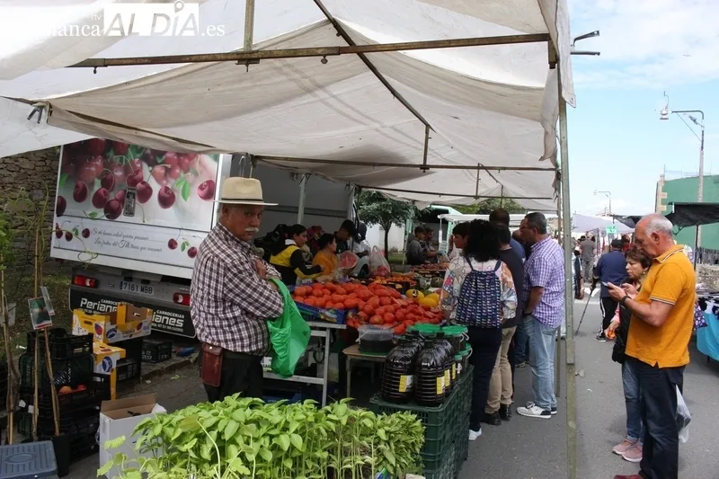 Mercadillo portugués en Trabanca de este primer domingo de junio de 2023