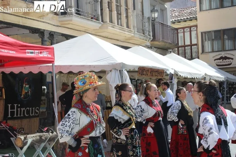 Foto 3 - Alba de Tormes celebra su XI Feria de San Antonio