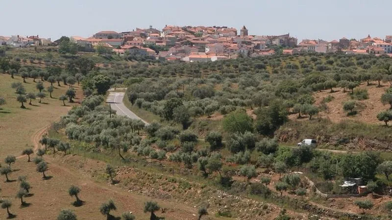 Foto 6 - Alf&acirc;ndega da F&eacute;: agroturismo a trav&eacute;s de la cereza