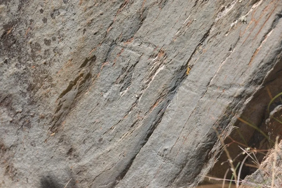 Foto 2 - Descubiertos cinco nuevos paneles con grabados en Siega Verde