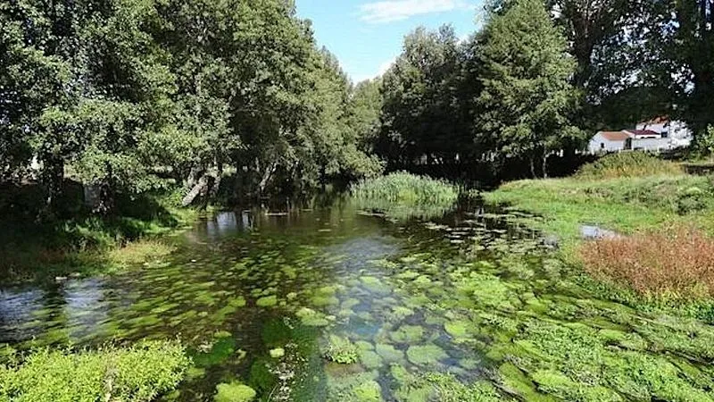 Lecho del río Côa | Rewilding Portugal