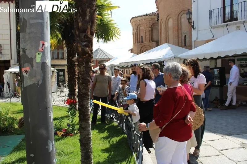 Foto 5 - Pintacaras, globoflexia y cetrer&iacute;a para culminar la Feria de San Antonio&nbsp;