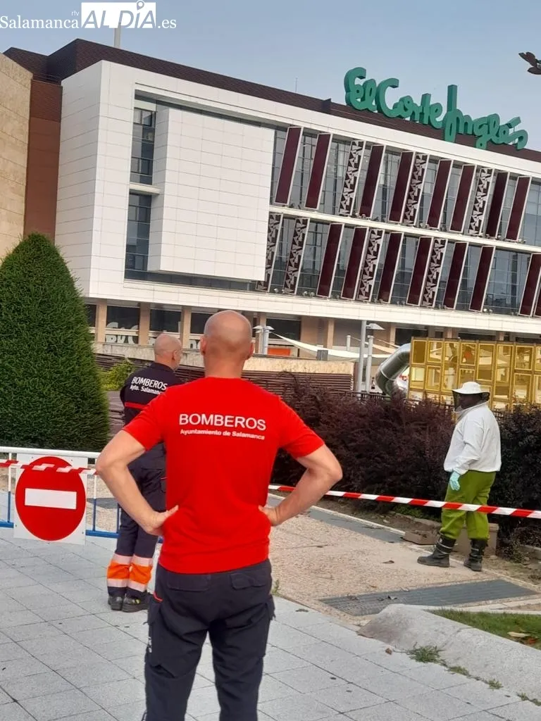 Foto 4 - Intervenci&oacute;n de los bomberos junto al Corte Ingl&eacute;s para retirar un enjambre de abejas