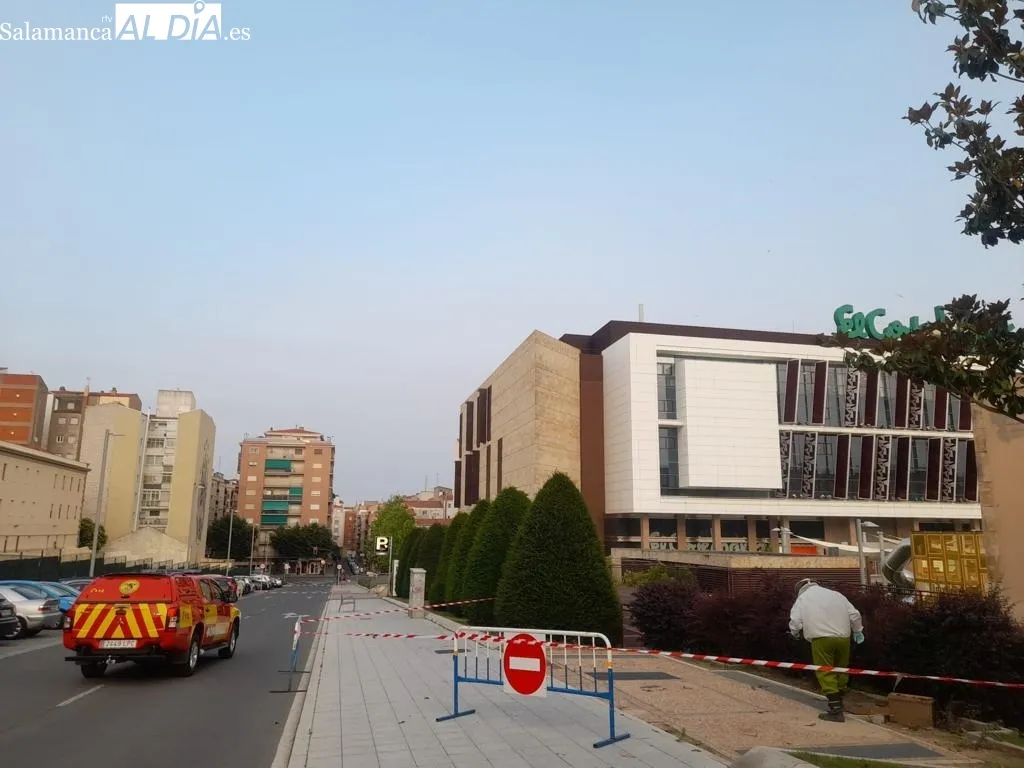 Foto 5 - Intervenci&oacute;n de los bomberos junto al Corte Ingl&eacute;s para retirar un enjambre de abejas