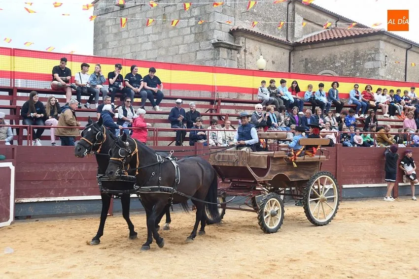 Foto 3 - Las pe&ntilde;as de La Fuente demuestran un a&ntilde;o m&aacute;s en el desfile de disfraces su gran imaginaci&oacute;n