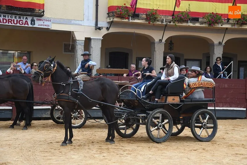 Foto 2 - Las pe&ntilde;as de La Fuente demuestran un a&ntilde;o m&aacute;s en el desfile de disfraces su gran imaginaci&oacute;n
