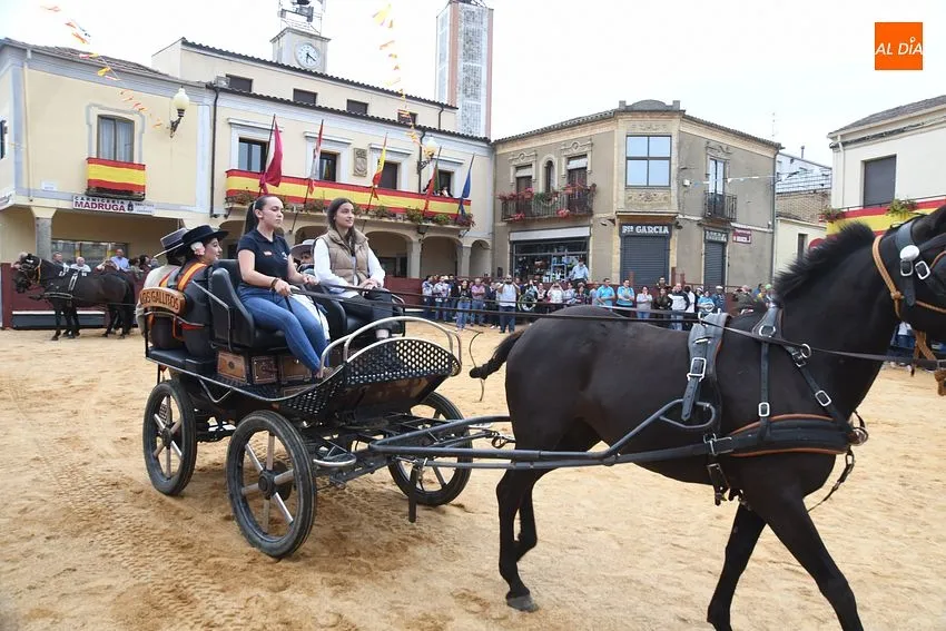 Foto 4 - Las pe&ntilde;as de La Fuente demuestran un a&ntilde;o m&aacute;s en el desfile de disfraces su gran imaginaci&oacute;n